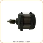 موتور ریلی گلدن گیت