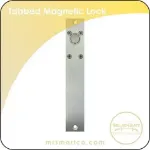 Tabbed magnetic lock	
